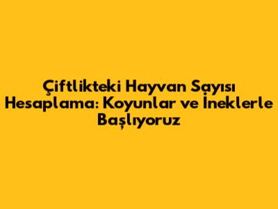 Çiftlikteki Hayvan Sayısı Hesaplama: Koyunlar ve İneklerle Başlıyoruz