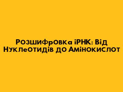 Розшифровка іРНК: Від Нуклеотидів до Амінокислот
