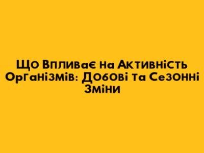 Що Впливає на Активність Організмів: Добові та Сезонні Зміни