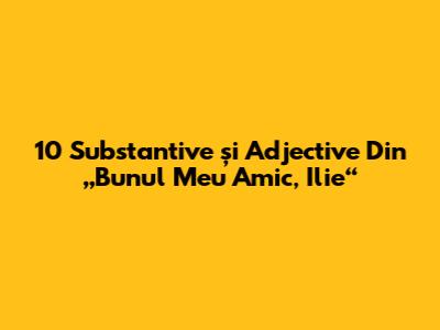 10 Substantive și Adjective Din „Bunul Meu Amic, Ilie“