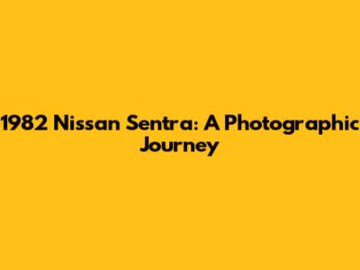 1982 Nissan Sentra: A Photographic Journey
