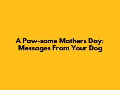 A Paw-some Mother's Day: Messages From Your Dog