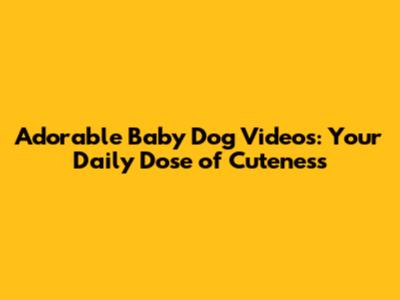 Adorable Baby Dog Videos: Your Daily Dose of Cuteness