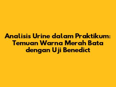 Analisis Urine dalam Praktikum: Temuan Warna Merah Bata dengan Uji Benedict