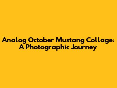 Analog October Mustang Collage: A Photographic Journey