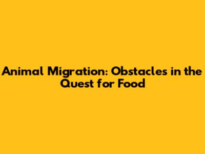 Animal Migration: Obstacles in the Quest for Food