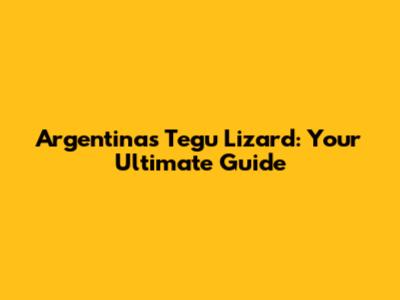 Argentina's Tegu Lizard: Your Ultimate Guide