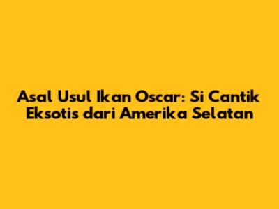 Asal Usul Ikan Oscar: Si Cantik Eksotis dari Amerika Selatan