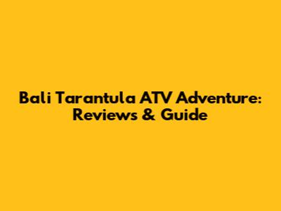 Bali Tarantula ATV Adventure: Reviews & Guide