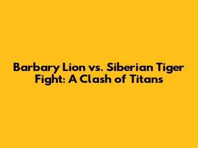Barbary Lion vs. Siberian Tiger Fight: A Clash of Titans