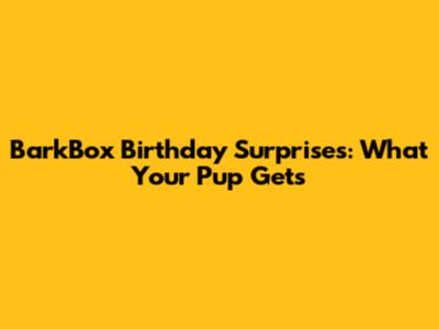 BarkBox Birthday Surprises: What Your Pup Gets