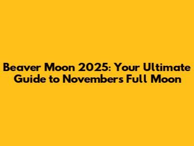 Beaver Moon 2025: Your Ultimate Guide to November's Full Moon