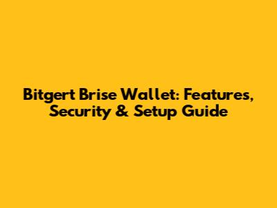 Bitgert Brise Wallet: Features, Security & Setup Guide