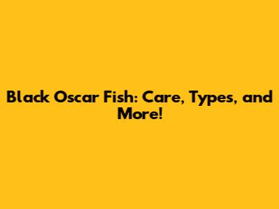 Black Oscar Fish: Care, Types, and More!