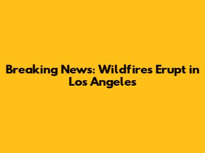 Breaking News: Wildfires Erupt in Los Angeles