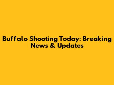 Buffalo Shooting Today: Breaking News & Updates