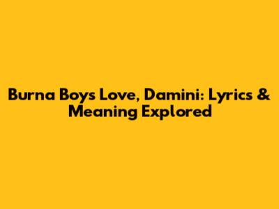 Burna Boy's Love, Damini: Lyrics & Meaning Explored