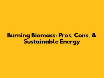Burning Biomass: Pros, Cons, & Sustainable Energy