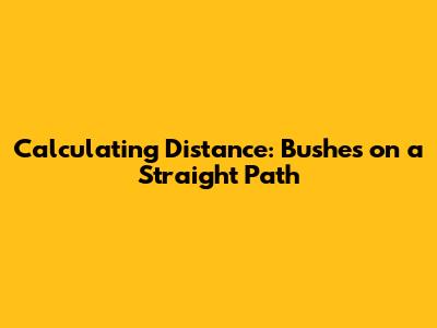 Calculating Distance: Bushes on a Straight Path