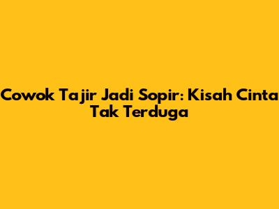 Cowok Tajir Jadi Sopir: Kisah Cinta Tak Terduga