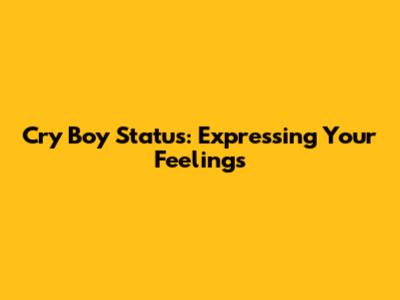 Cry Boy Status: Expressing Your Feelings