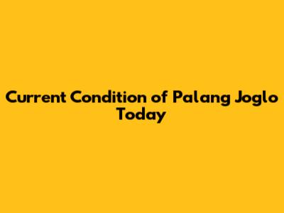 Current Condition of Palang Joglo Today
