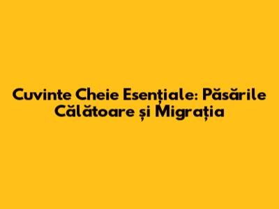 Cuvinte Cheie Esențiale: Păsările Călătoare și Migrația
