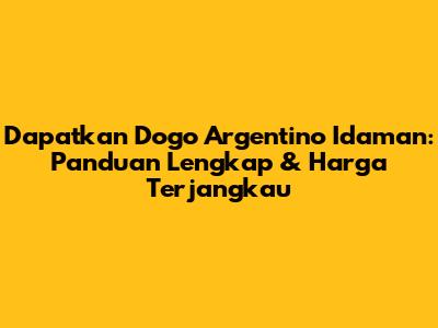 Dapatkan Dogo Argentino Idaman: Panduan Lengkap & Harga Terjangkau
