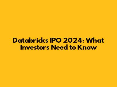 Databricks IPO 2024: What Investors Need to Know