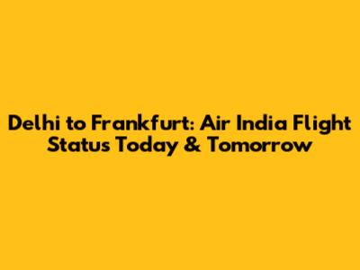 Delhi to Frankfurt: Air India Flight Status Today & Tomorrow