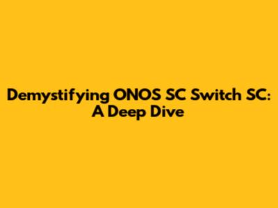 Demystifying ONOS SC Switch SC: A Deep Dive