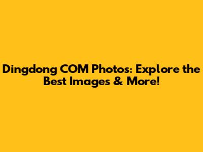 Dingdong COM Photos: Explore the Best Images & More!