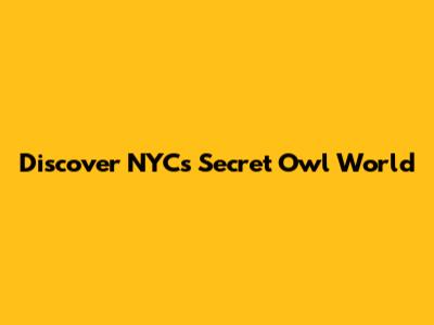 Discover NYC's Secret Owl World