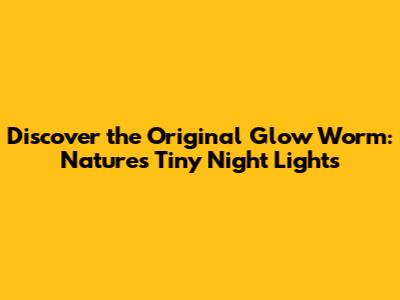 Discover the Original Glow Worm: Nature's Tiny Night Lights