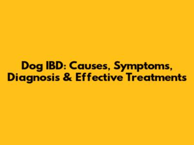Dog IBD: Causes, Symptoms, Diagnosis & Effective Treatments