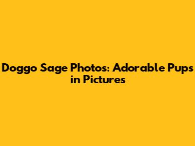 Doggo Sage Photos: Adorable Pups in Pictures