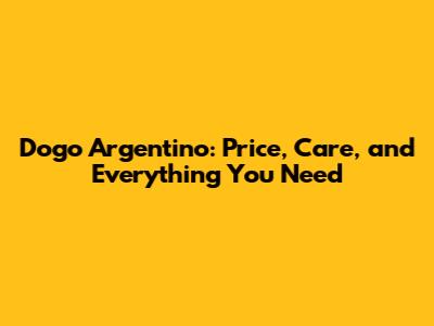 Dogo Argentino: Price, Care, and Everything You Need