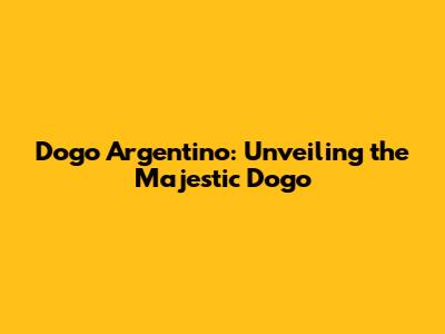 Dogo Argentino: Unveiling the Majestic Dogo