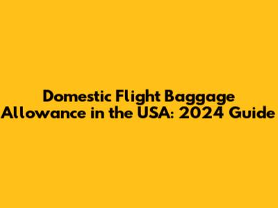 Domestic Flight Baggage Allowance in the USA: 2024 Guide