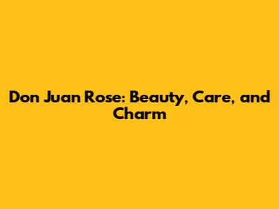 Don Juan Rose: Beauty, Care, and Charm
