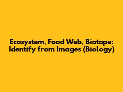 Ecosystem, Food Web, Biotope: Identify from Images (Biology)
