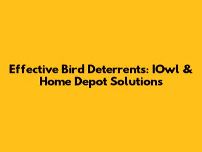 Effective Bird Deterrents: IOwl & Home Depot Solutions
