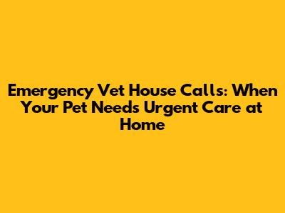 Emergency Vet House Calls: When Your Pet Needs Urgent Care at Home