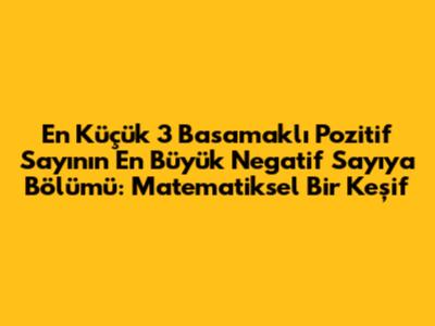 En Küçük 3 Basamaklı Pozitif Sayının En Büyük Negatif Sayıya Bölümü: Matematiksel Bir Keşif