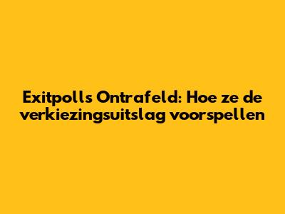 Exitpolls Ontrafeld: Hoe ze de verkiezingsuitslag voorspellen