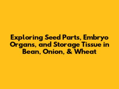 Exploring Seed Parts, Embryo Organs, and Storage Tissue in Bean, Onion, & Wheat