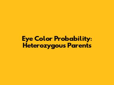 Eye Color Probability: Heterozygous Parents