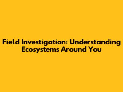 Field Investigation: Understanding Ecosystems Around You
