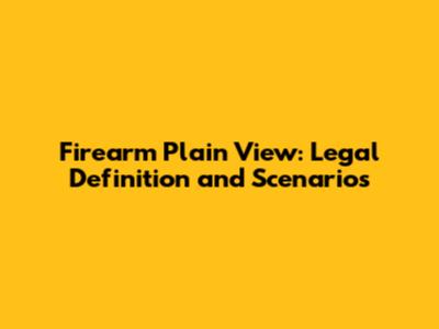 Firearm Plain View: Legal Definition and Scenarios