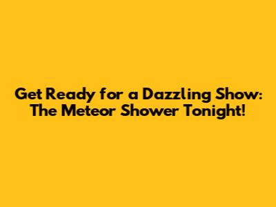 Get Ready for a Dazzling Show: The Meteor Shower Tonight!